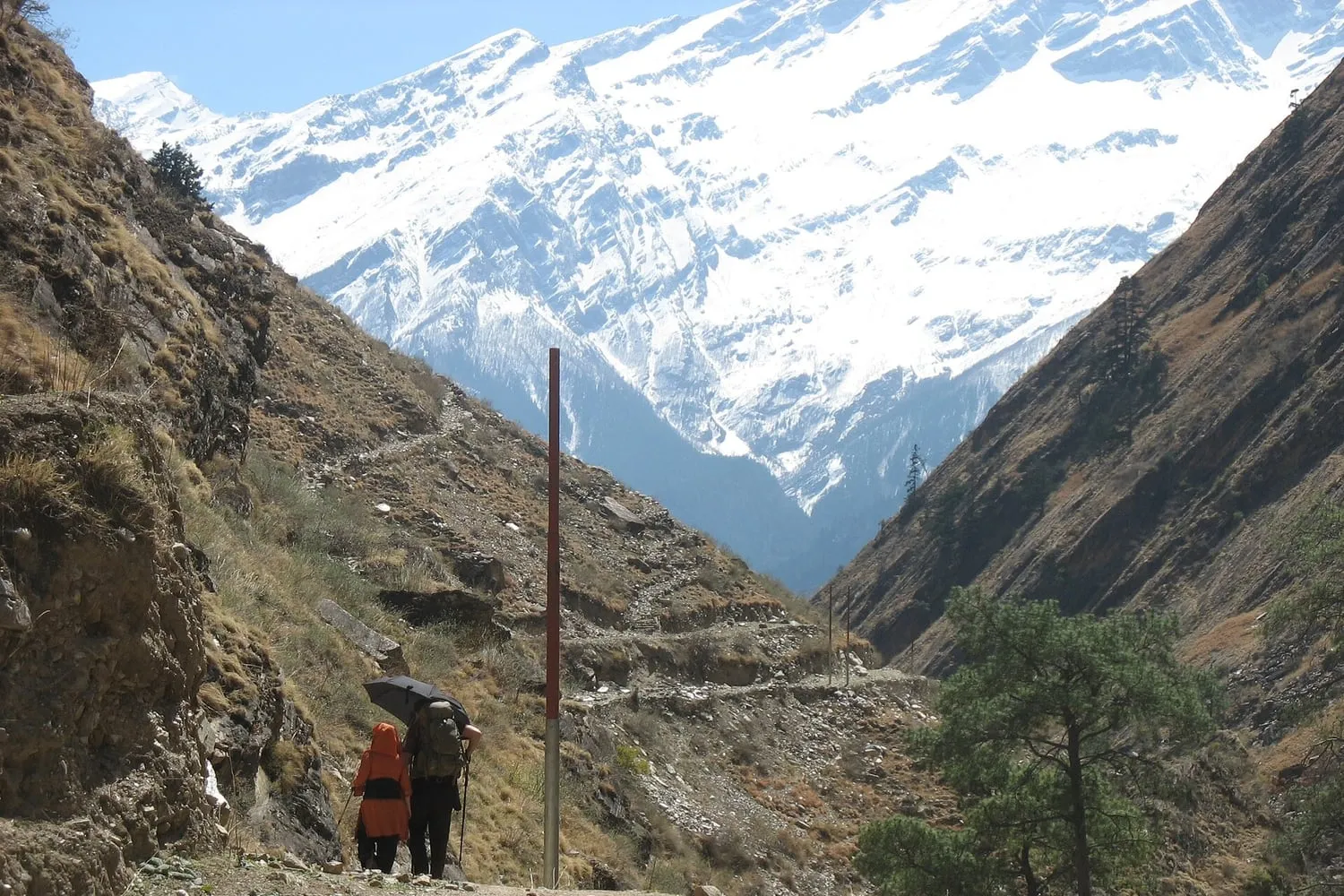 Two walkers with packs and poles on a mountain trail